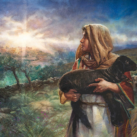 Light Over Bethlehem