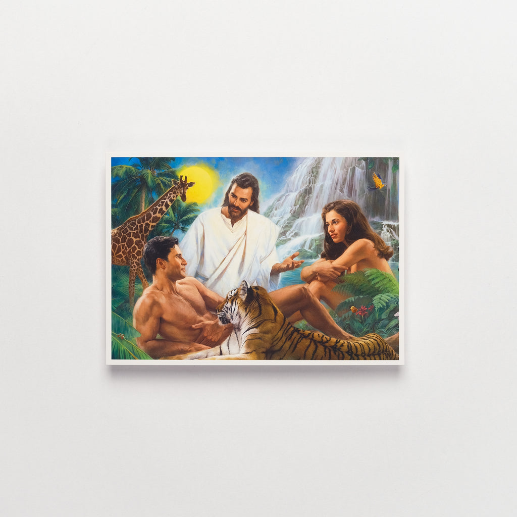 TheIntroduction5x7_1024x.jpg?v